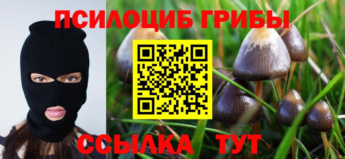 Псилоцибиновые грибы Psilocybine cubensis Уварово